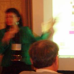 2008-07-25, Washington, Millennium Project Planning Committee, presenting the Millennia2015 Foresight research process
