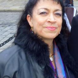 2012-01-28, Paris, Assemblée nationale, Conférence de AWODIAG, présentation de Millennia2015
