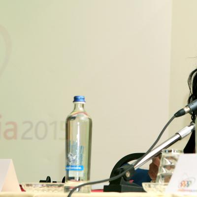 Millennia2015, Liège 2008 - Workshop 2