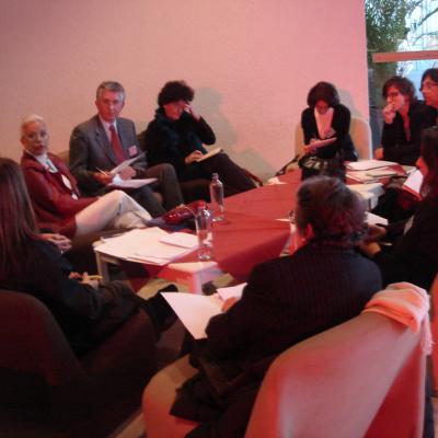 Millennia2015, Liège 2008 - WFUNA - MPPC meeting