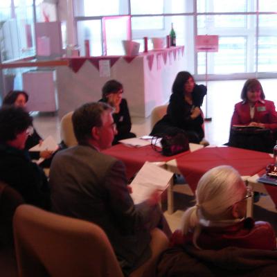 Millennia2015, Liège 2008 - WFUNA - MPPC meeting