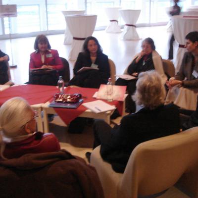 Millennia2015, Liège 2008 - WFUNA - MPPC meeting