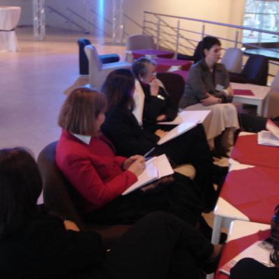 Millennia2015, Liège 2008 - WFUNA - MPPC meeting