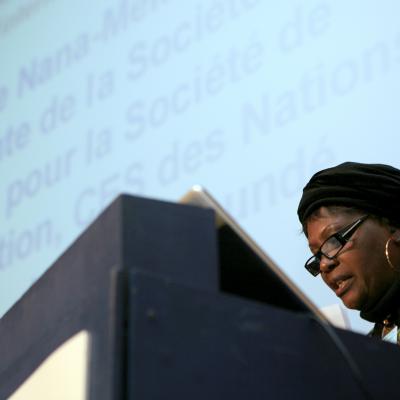 Millennia2015, Liège 2008 - Third Plenary - 2