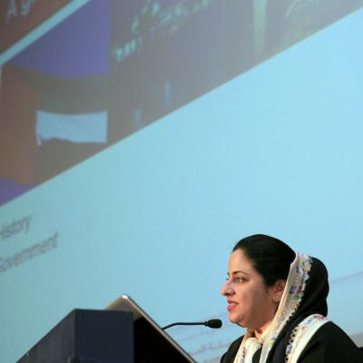 Millennia2015, Liège 2008 - Third Plenary - 2