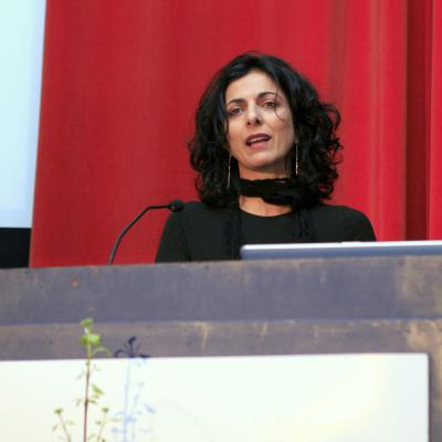 Millennia2015, Liège 2008 - Third Plenary - 2