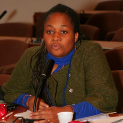 2012-12-03. Millennia2025 UNESCO Paris - 02. Second Plenary Session