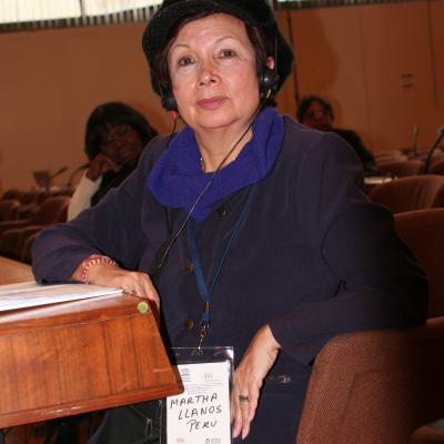 2012-12-03. Millennia2025 UNESCO Paris - 05. Strategic Forum - From strategy to action