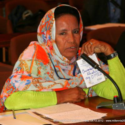 2012-12-03. Millennia2025 UNESCO Paris - 06. Third Plenary Session