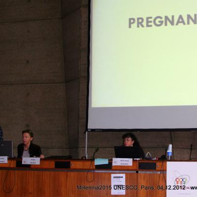 2012-12-04. Millennia2025 UNESCO Paris - 07. Fourth Plenary Session