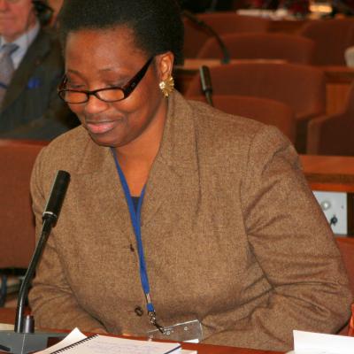 2012-12-04. Millennia2025 UNESCO Paris - 07. Fourth Plenary Session