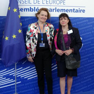 2015-06-24 - Convention d'Istanbul et prospective - Strasbourg
