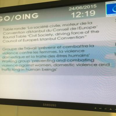 2015-06-24 - Convention d'Istanbul et prospective - Strasbourg
