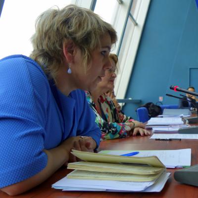 2015-06-24 - Convention d'Istanbul et prospective - Strasbourg