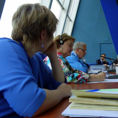 2015-06-24 - Convention d'Istanbul et prospective - Strasbourg