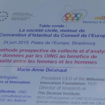 2015-06-24 - Convention d'Istanbul et prospective - Strasbourg