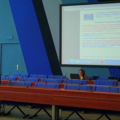 2015-06-24 - Convention d'Istanbul et prospective - Strasbourg