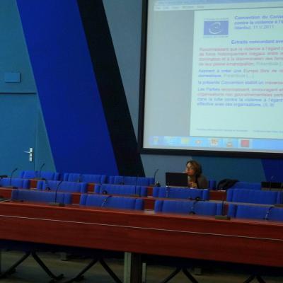 2015-06-24 - Convention d'Istanbul et prospective - Strasbourg