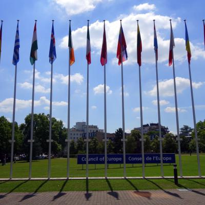 2015-06-24 - Convention d'Istanbul et prospective - Strasbourg