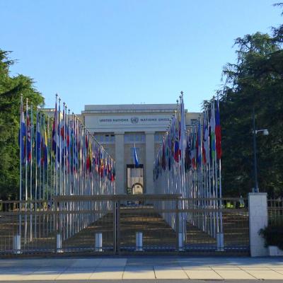2014-05-20 - Millennia2025 WeObservatory, Innovation for Women's Health - Geneva