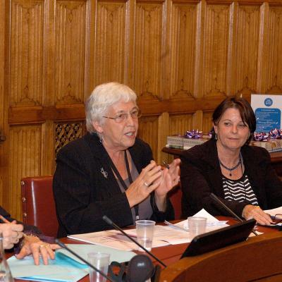 2013-10-24 - WWAFE, House of Lords, London