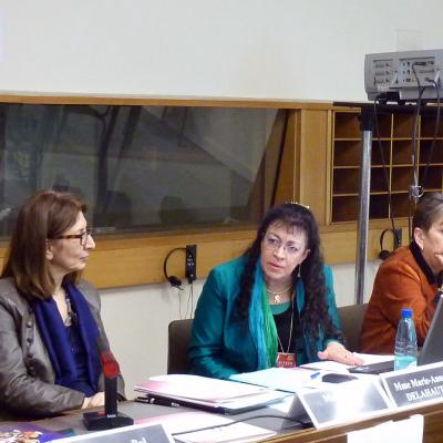 2010-12-08 - Millennia2015 at the UNESCO, Paris