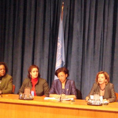2010-03-03 - UN CSW54 - OIF, New York
